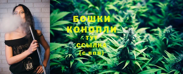 соль ск Снежинск